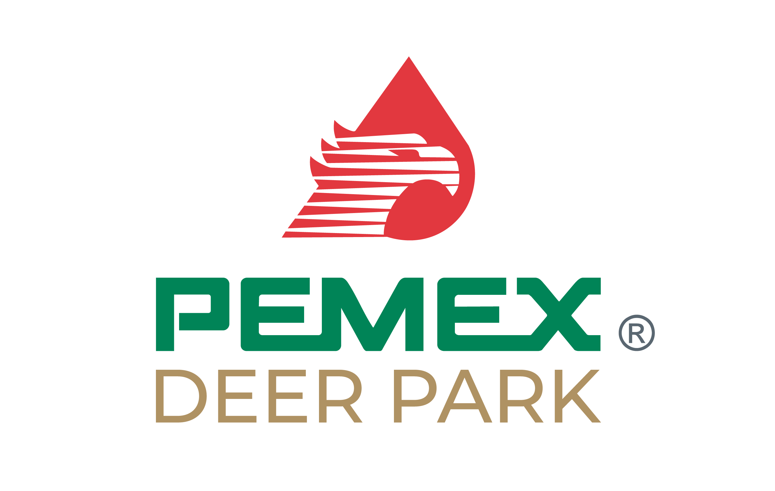 System Logo